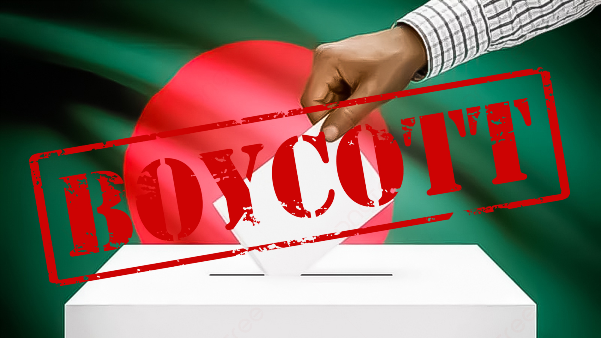 vote boyucott